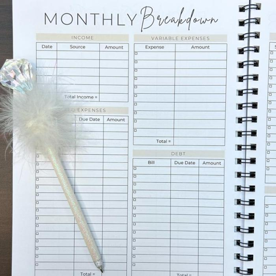 That Budget Babe 12 Month Undated Budget Planner