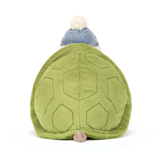 Mr. Timmy Turtle