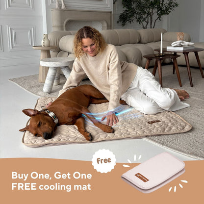 Moon™ Cooling Mat for Dogs