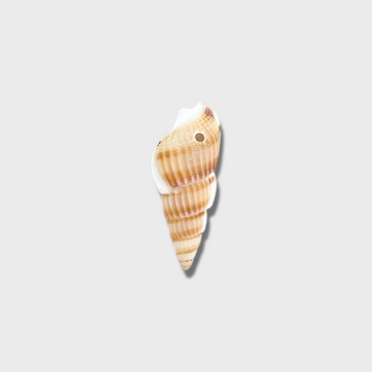 Natural Spiral Shell Charm
