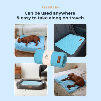 Moon™ Cooling Mat for Dogs
