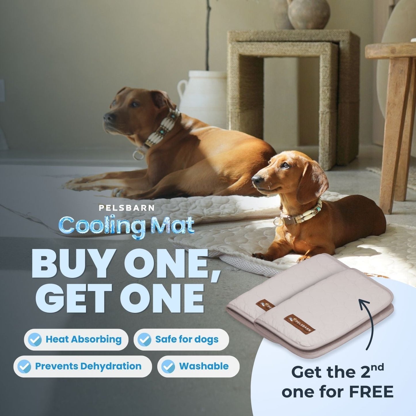 Moon™ Cooling Mat for Dogs