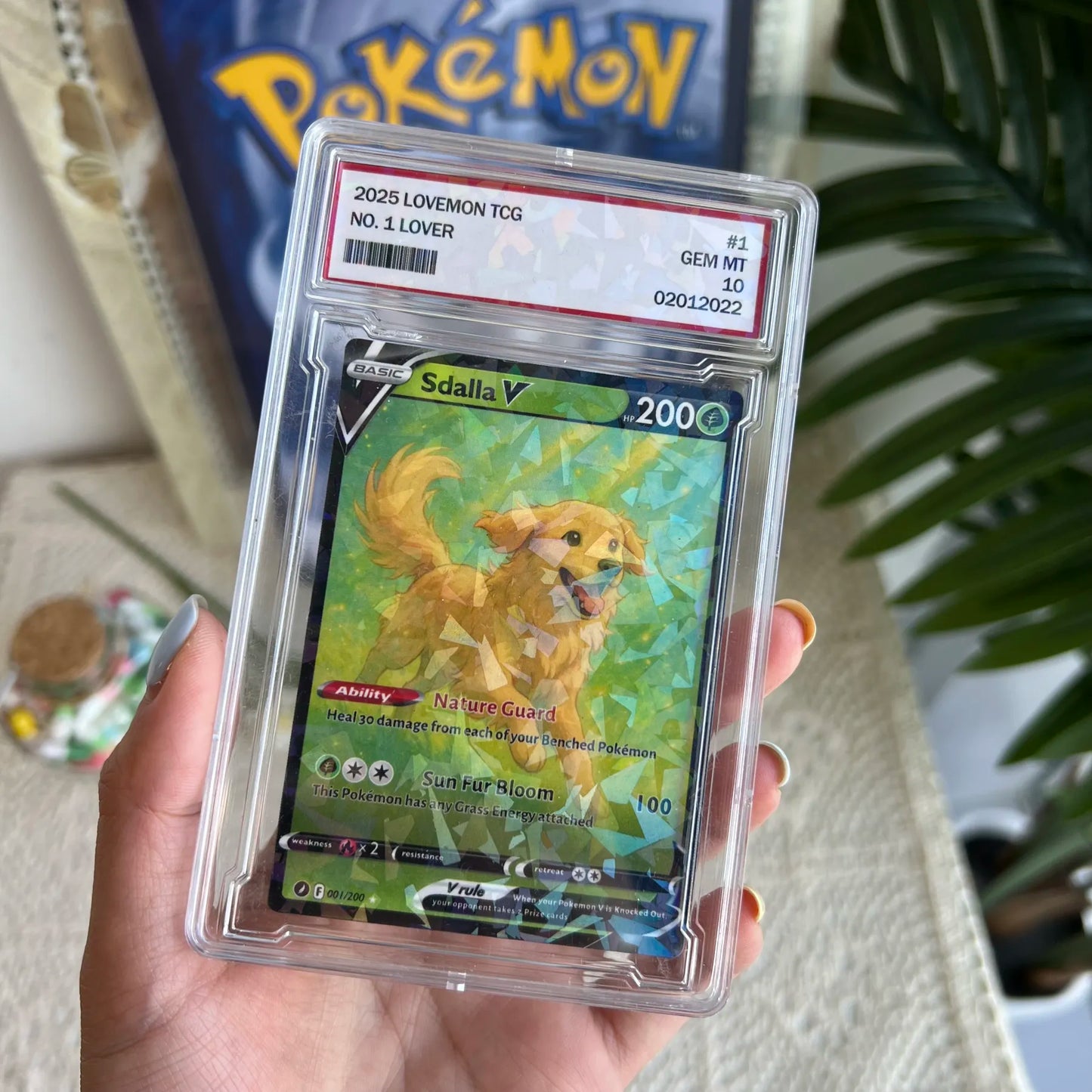 Custom Anime Pet 8 Types V Card For Pet Lovers Pokecard