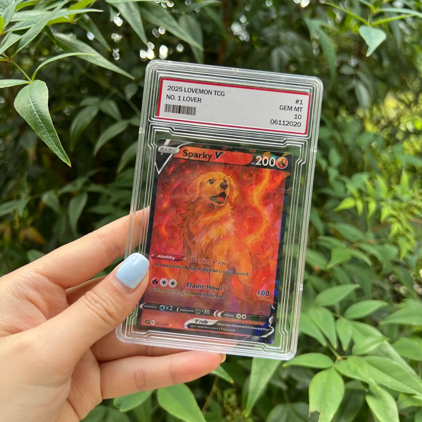 Custom Anime Pet 8 Types V Card For Pet Lovers Pokecard