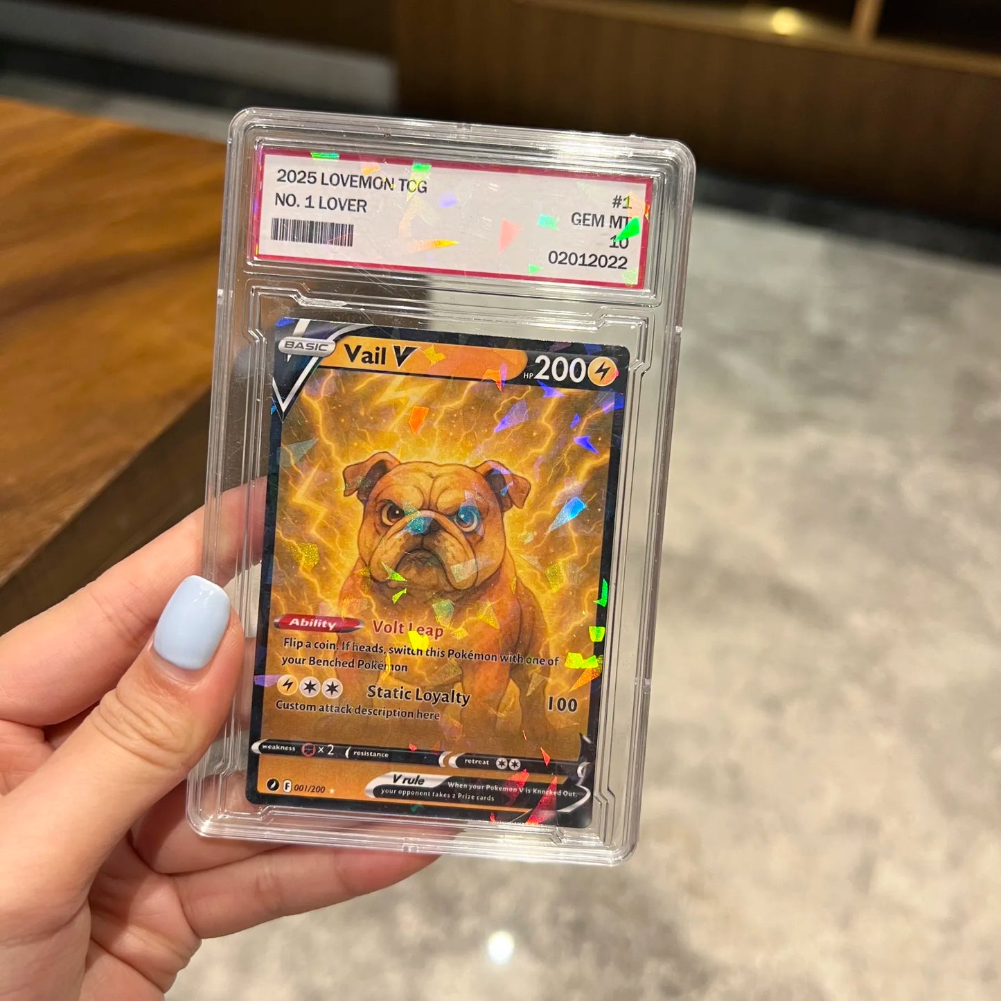 Custom Anime Pet 8 Types V Card For Pet Lovers Pokecard