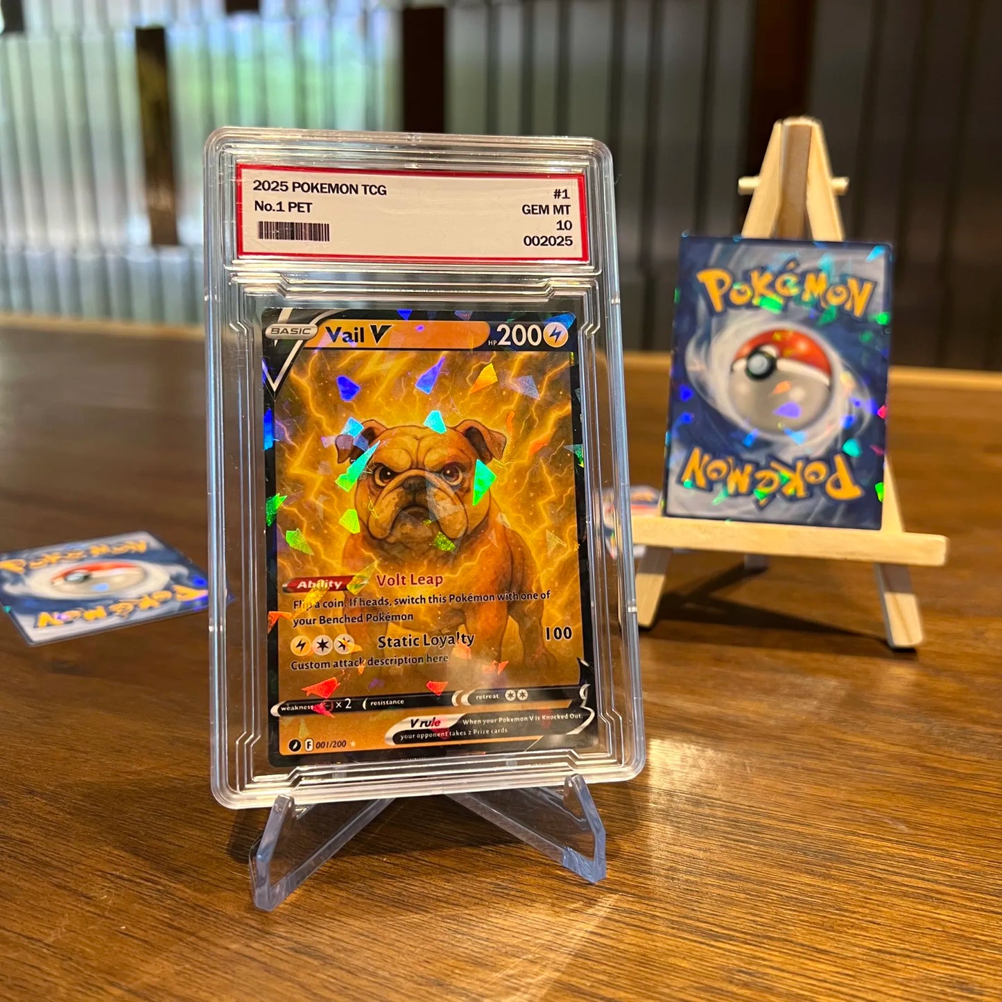 Custom Anime Pet 8 Types V Card For Pet Lovers Pokecard