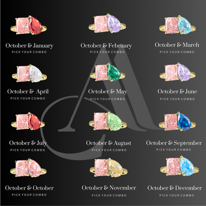 The "You & Me" Alara Birth Month Ring