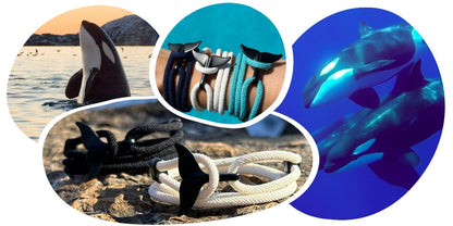 Orca Tracking Bracelet
