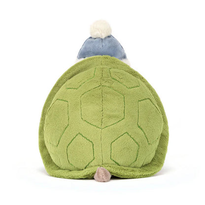 Mr. Timmy Turtle