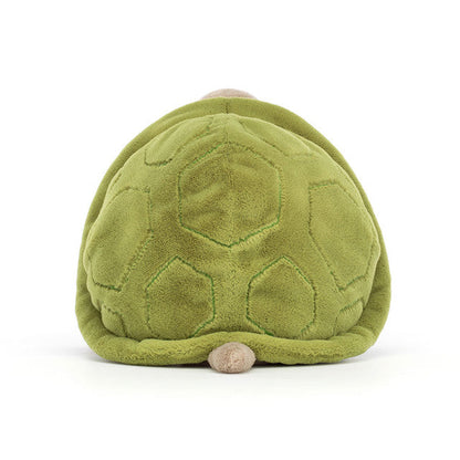 Mr. Timmy Turtle