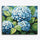 Clustered Hydrangeas Paint By Numbers Kit
