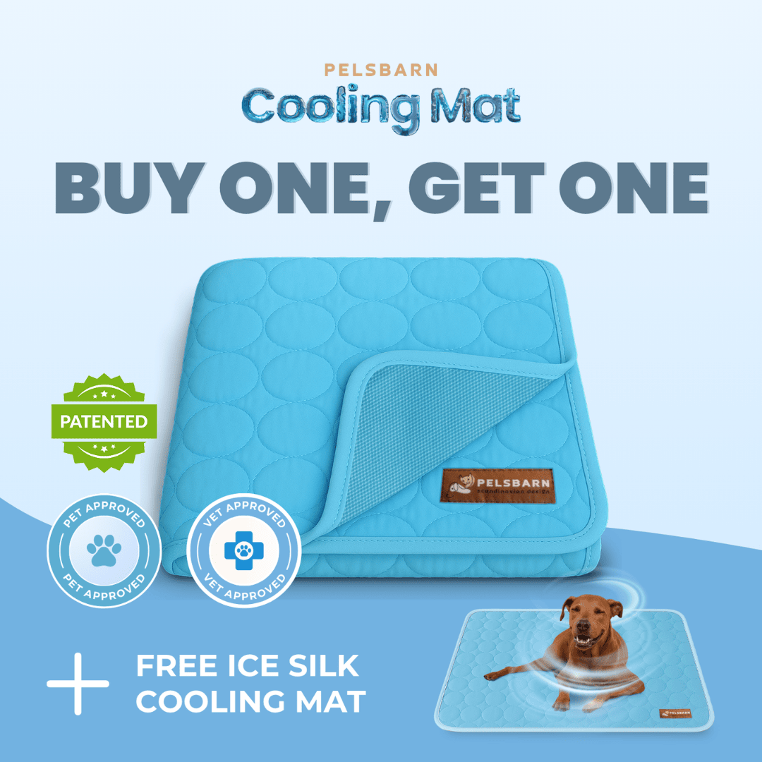 Moon™ Cooling Mat for Dogs