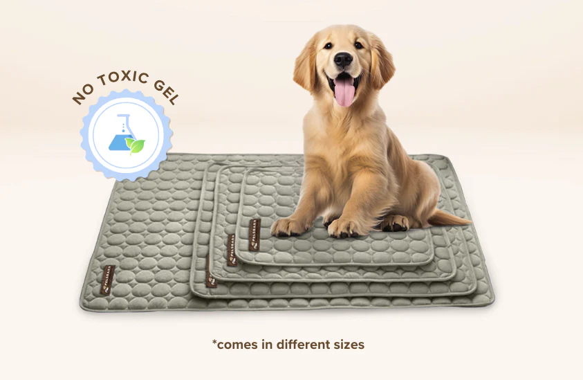 Moon™ Cooling Mat for Dogs