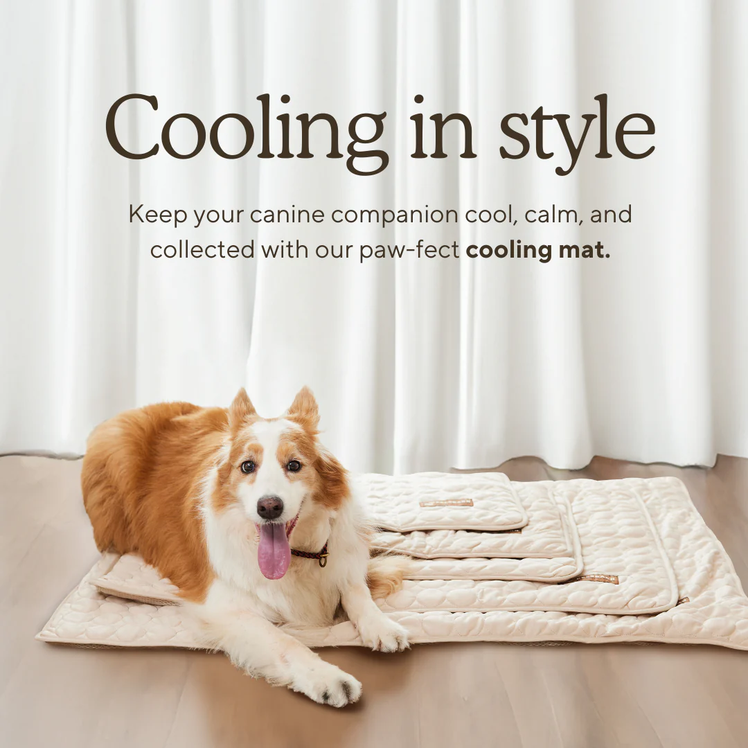 Moon™ Cooling Mat for Dogs