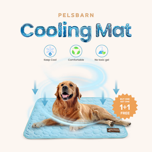Moon™ Cooling Mat for Dogs